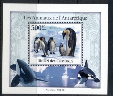 Comoro-Is-2010-Animals-of-the-Antarctic_3