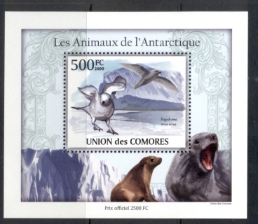 Comoro-Is-2010-Animals-of-the-Antarctic_4