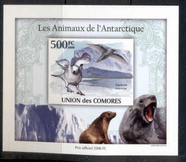 Comoro-Is-2010-Animals-of-the-Antarctic_5