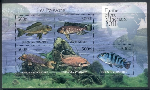 Comoro-Is-2011-Freshwater-Fish