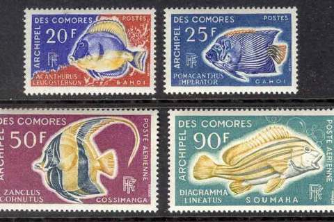 Comoro Is 1968 Fish