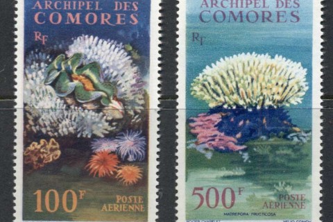 Comoro Is 1962 Marine Life, Corals