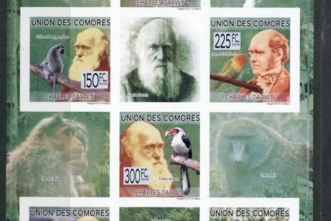 Comoro-Is-2009-Charles-Darwin_2