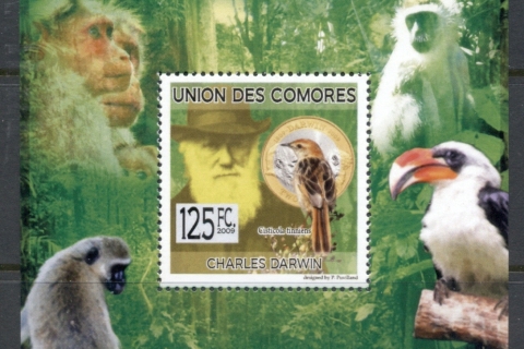 Comoro-Is-2009-Charles-Darwin_3