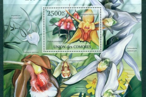 Comoro-Is-2011-Flora