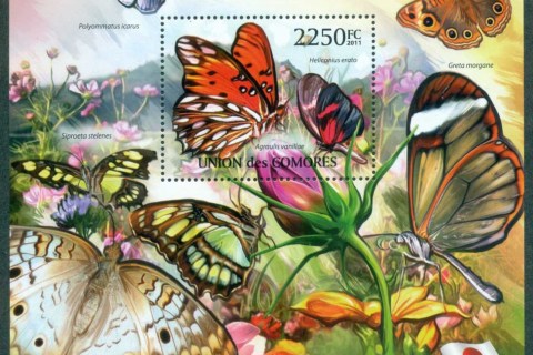 Comoro-Is-2011-Insects