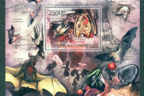 Comoro-Is-2011-Wildlife