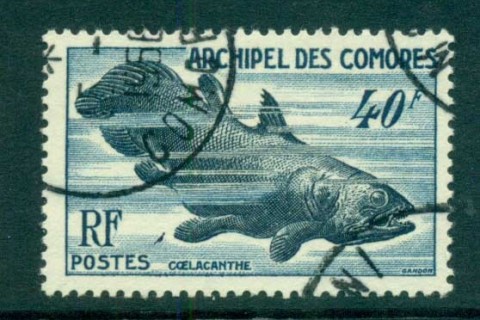 Comoro Is 1954 Coelecanth