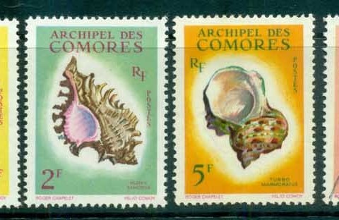 Comoro Is 1962 Shells (6/8)