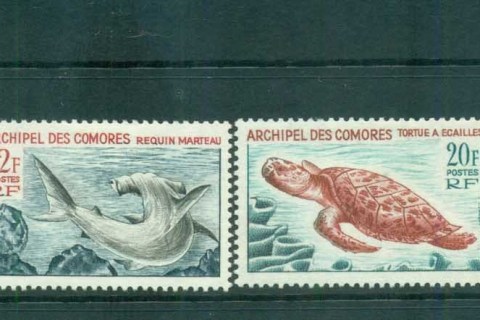 Comoro Is 1965 marine Life