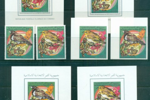 Comoro-Is-1978-Birds