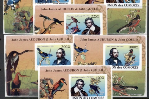 Comoro-Is-2008-Audubon-Gould-5x-Deluxe-MS-IMPERF-MUH