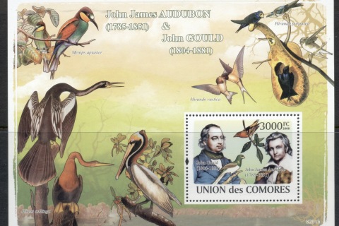 Comoro-Is-2008-Audubon-Gould-MS-MUH