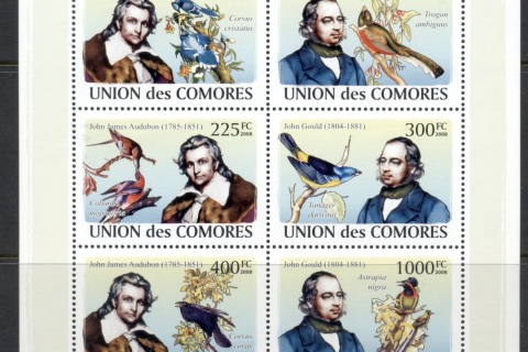 Comoro-Is-2008-Audubon-Gould-MS-MUH_1