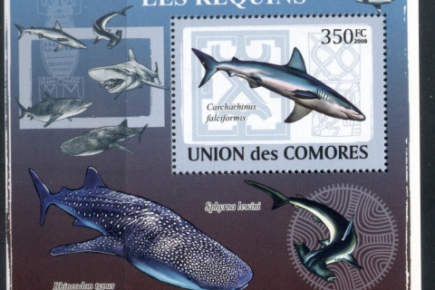 Comoro-Is-2008-Marine-Life_2