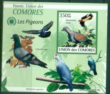 Comoro-Is-2009-Birds-Pigeons-DLMS-IMPERF-MUH_1