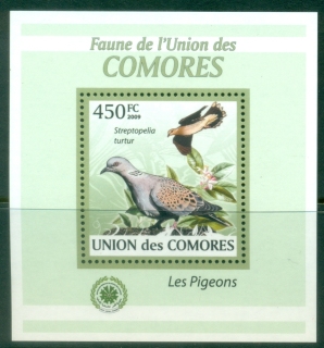 Comoro-Is-2009-Birds-Pigeons-DLMS-MUH_2
