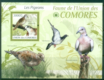 Comoro-Is-2009-Birds-Pigeons-MS-MUH_1