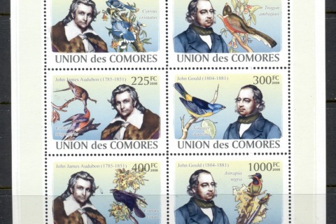 Comoro-Is-2009-Birds