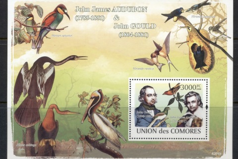 Comoro-Is-2009-Birds_1