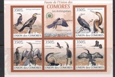 Comoro-Is-2009-Birds_10