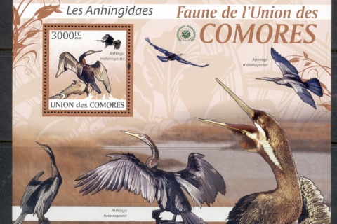Comoro-Is-2009-Birds_11