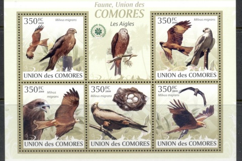 Comoro-Is-2009-Birds_12