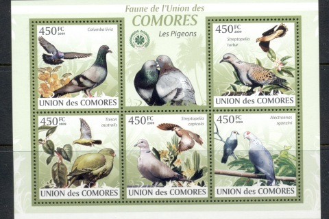 Comoro-Is-2009-Birds_14