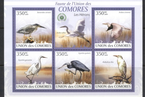 Comoro-Is-2009-Birds_15