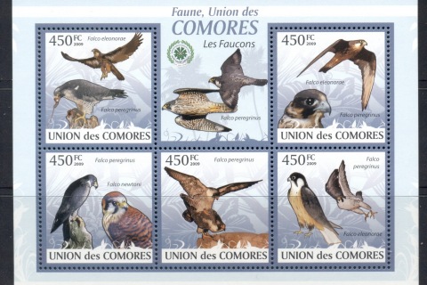 Comoro-Is-2009-Birds_18