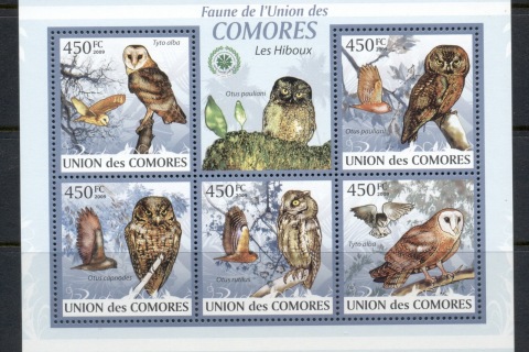 Comoro-Is-2009-Birds_19