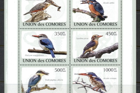 Comoro-Is-2009-Birds_2