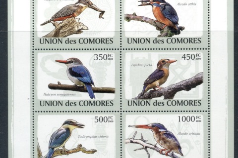Comoro-Is-2009-Birds_21