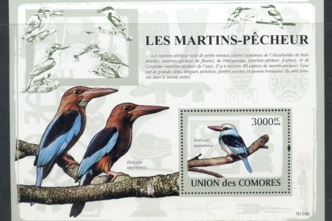 Comoro-Is-2009-Birds_22