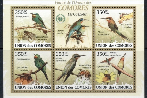 Comoro-Is-2009-Birds_25