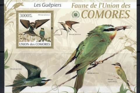 Comoro-Is-2009-Birds_26
