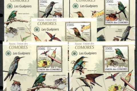 Comoro-Is-2009-Birds_27