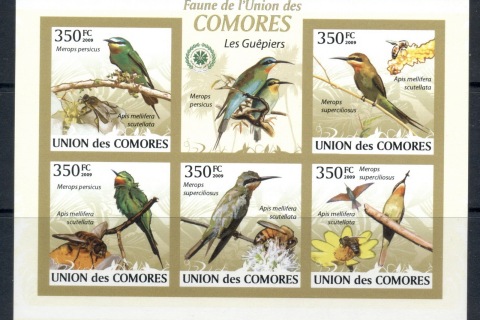 Comoro-Is-2009-Birds_28