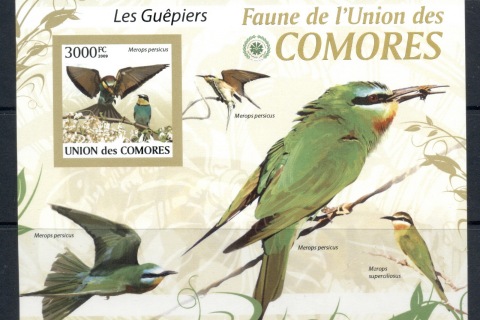 Comoro-Is-2009-Birds_29