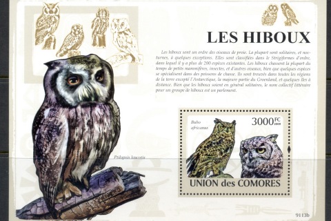 Comoro-Is-2009-Birds_3