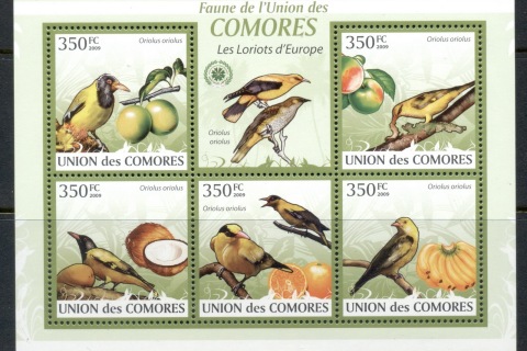 Comoro-Is-2009-Birds_38
