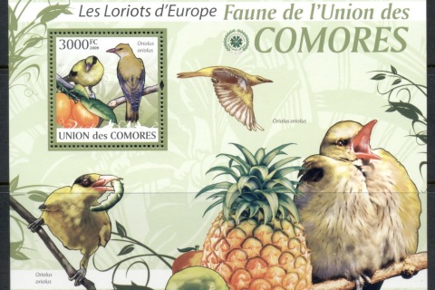 Comoro-Is-2009-Birds_39