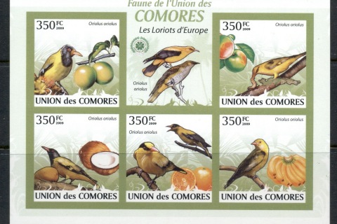 Comoro-Is-2009-Birds_40