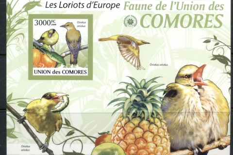 Comoro-Is-2009-Birds_41