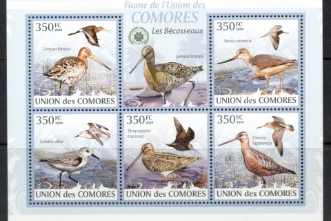 Comoro-Is-2009-Birds_43