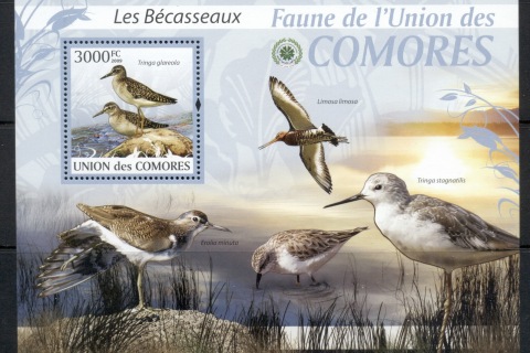 Comoro-Is-2009-Birds_44