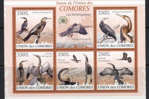 Comoro-Is-2009-Birds_49