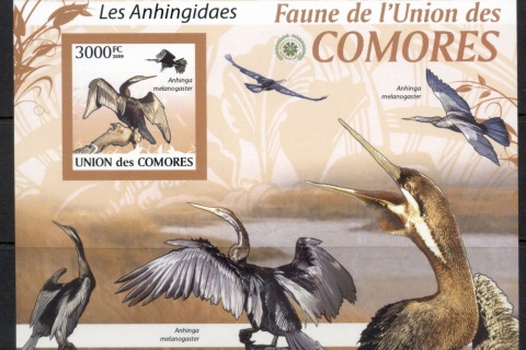 Comoro-Is-2009-Birds_53