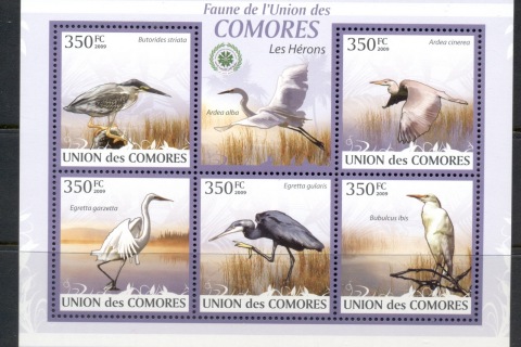 Comoro-Is-2009-Birds_55