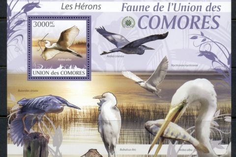 Comoro-Is-2009-Birds_56